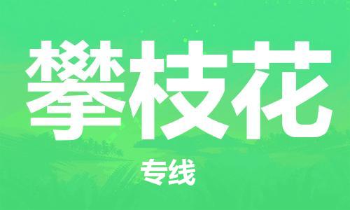 番禺區(qū)到攀枝花物流專線-番禺區(qū)物流到攀枝花（直送/無盲點）