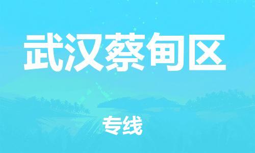 東莞到武漢蔡甸區(qū)物流公司,東莞到武漢蔡甸區(qū)物流專線直達貨運